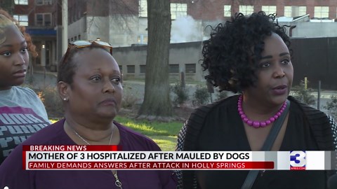 Woman hospitalized after dog mauling in Mississippi