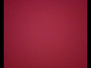 Nigel Whitty Album - Volume 34! cHrIsTmAs FuNfAiR - 2025