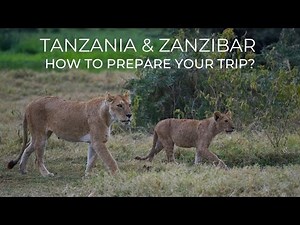 How to travel to Tanzania? Tanzania Mainland, Serengeti Park and Zanzibar