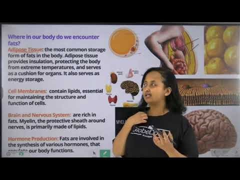 Grade 10 Biology unit 3 lipids