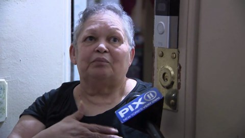 Dog thrown down trash chute in NYCHA building: NYPD