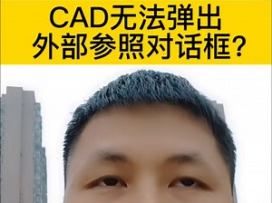 在CAD中输入XREF，无法弹出外部参照的对话框？