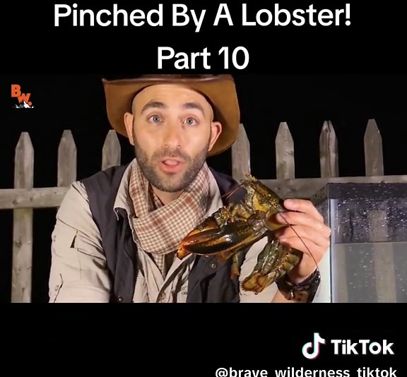 Interacting with a Lobster: Close-Up and Cooking Tips