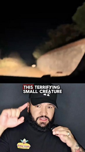 199K views · 2.4K reactions | terrifying creepy creature #paranormal #scaryvideos #creature #creepy | Jullian Moises Serrano Aleman | Facebook