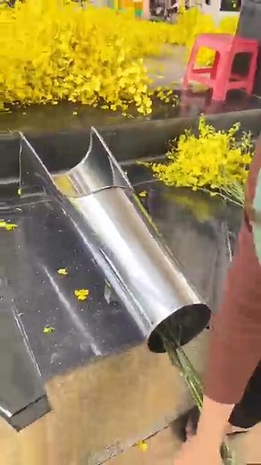 Work Smart Not Hard ☺️|| | facts today