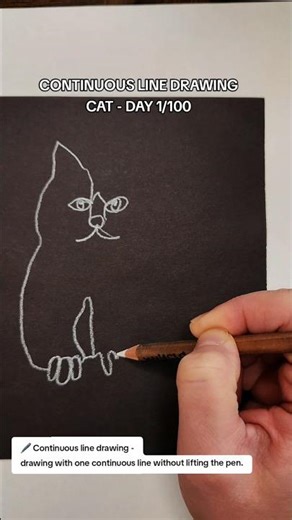 Day 1/100 #dailyart #howtodraw #catdrawing #arttechniques #continuouslinedrawing