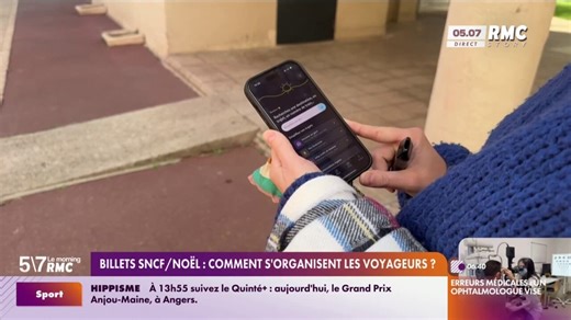 Billets SNCF/Noël : Comment s'organisent les voyageurs ?