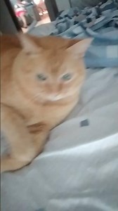 14 de agosto de 2025