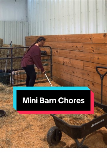 Mini Barn Chores🐴 | miniature barn