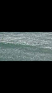 First time I ever saw devil rays jumping/flying out of the water! It was super cool! #fblifestyles #love #florida #beach #lovewhereyoulive | Kelly Breedwell