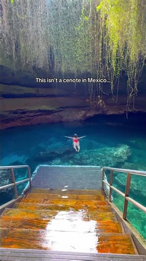 Welcome to📍 Devil’s Den Prehistoric Spring, Florida 🐢✨ This underground spring feels like stepping