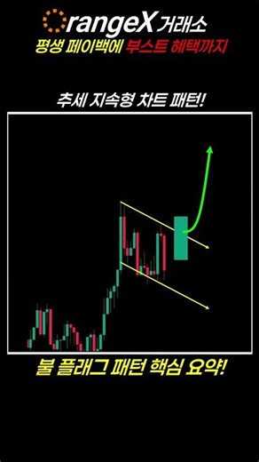 상승 지속형 차트 패턴! 불플래그 패턴? 초간단 핵심 요약!