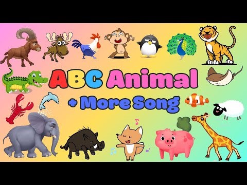 ABC Animals Sounds Song + Alphabet Animals 1 Hour| Learn ABC With Animals Song | Little Kitten Learn