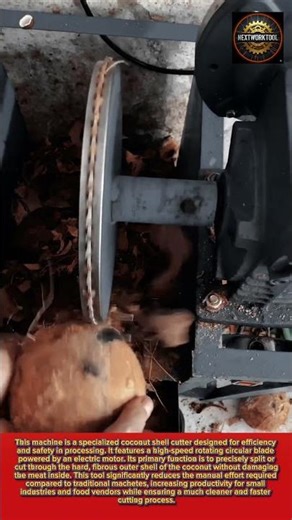 Coconut Shell Cutter Machine for Fast and Efficient Processing#worktool#tool