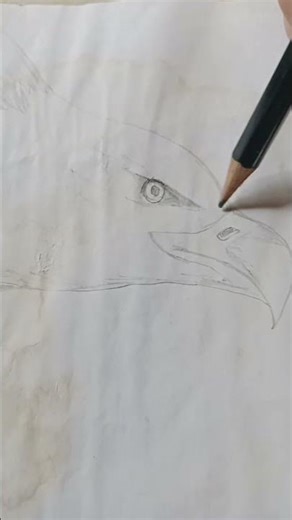 EAGLE SKETCHING #subscribe #drawing #art #BOYARTIST