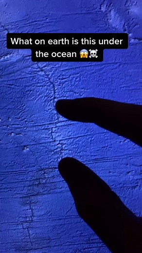 Exploring Mysterious Underwater Discoveries on Google Earth