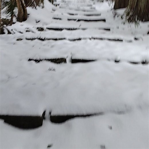 @佐渡の便利屋さん on Instagram: "ども🙋 【佐渡をもっと盛り上げ隊】 隊長兼隊員の尾﨑です🏃 今回は佐渡の歴史建造物「清水寺(せいすいじ)」を見学してきました🏃 佐渡に来てからちょくちょく耳にするのが「佐渡は小京都と呼ばれるんだよ」て話🤔 小京都🤔❓️と頭のなかでは❓️がいっぱい。 でも、移住してもうすぐ4年目。 意味がわかってきました🙋 まさか「清水の舞台から○○。」で有名な京都にある清水寺と同じ漢字(読み方は違う)😯 しかも、姿形も似てる（笑） 高さは本場と比べると…（笑） 色んなツッコミ要素が満載なお寺でした🙋 佐渡ヶ島は歴史的にも西からの文化交流が盛んでその風習や考え方がよく似ている傾向があります🤔 神社やお寺が多くあり、歴史的価値の高いものばかり😯 だからこそ「面白い」。 まだまだ佐渡を知る必要がありますね✨ #佐渡をもっと盛り上げ隊 #佐渡 #佐渡市 #清水寺 #歴史"