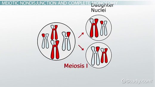 Monosomy | Definition, Causes & Examples