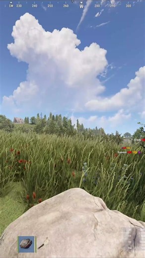 Stop trolling me i just wanna cheat bro! #rust #camomo #Camomo_10 #AdminTrolling #RustGaming #gaming #whatdididoooooo #RustCommunity #RustMemes