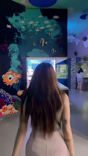 Exploring Underwater Life Through Art: A Colorful Mural