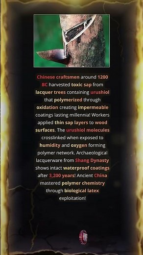 Ancient Lacquerware Shows Intact Waterproof Coatings