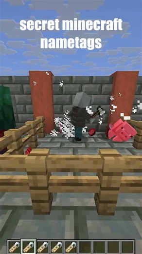 Secret Minecraft Names #minecraft