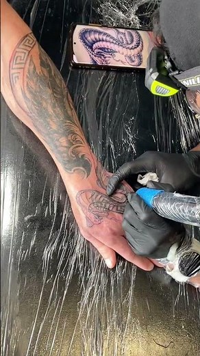 Snake Forearm Tattoo – Timeless Ink at Teddington Ink