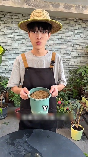 Multiply Your Lemon Tree for FREE 🍋 Foolproof Trick!