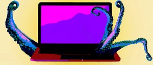 使用 Kali Linux 容器、WebDriver 和 Tor 进行匿名网页抓取 | HackerNoon