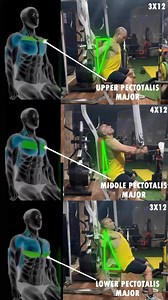 ✅Chest fly variation #kamalc32 #chest #gym #fitnesstips #healthydiet #tricepworkout | kamalc32