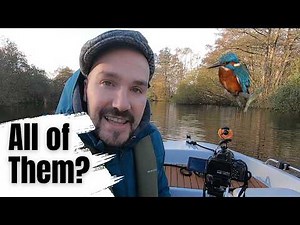 I Tried to find the most Famous Wildlife of the Norfolk Broads!