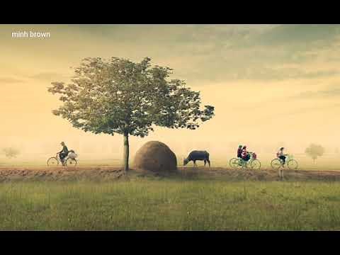 Nhạc đồng quê nhẹ nhàng | nhạc nền video
