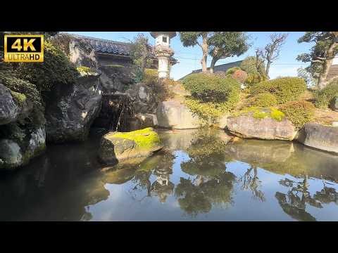 Echoing Water Sounds and Hibernating Koi [4K ASMR]