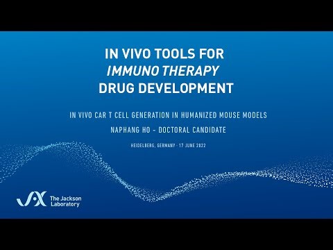 In Vivo CAR T Cell Generation in Humanized Mouse Models