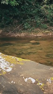 Via @vilofly // Anxiety On The Edge…🤯 • • • #flyfishing #jungle #bolivia🇧🇴 #goldendorado #flyfishinglife #dryfly | In the Loop Magazine