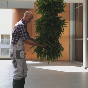 From Basic Pots to Botanical Brilliance—Try These DIY Planting Wins | Green Bean