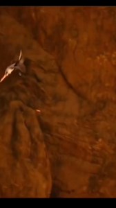 111K views · 1.9K reactions | The Lion King 2019 ❤ Zazu and Rafiki fighting the Hyenas  #TLK2019 #Zazu #Rafiki | Anthony Abero | Facebook