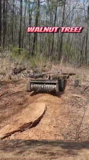 Handy Mulcher on Hardwood tree
