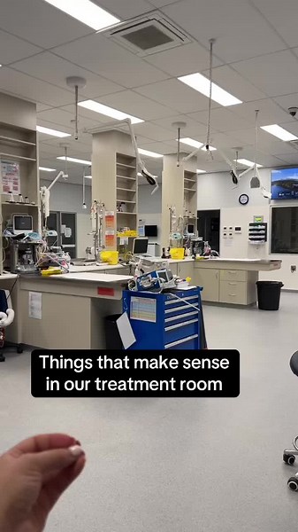 Emergency Veterinary Services in Western Sydney