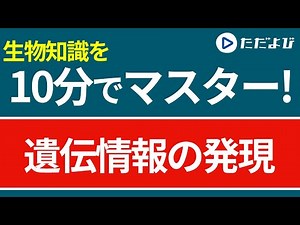 【生物 一問一答】遺伝情報の発現【第63講】*