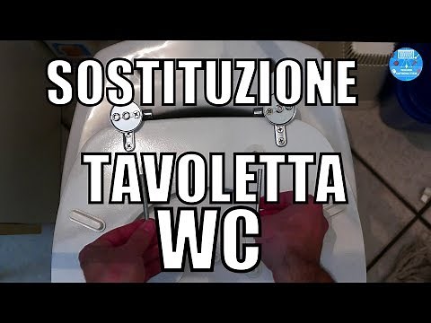 How to replace a toilet seat