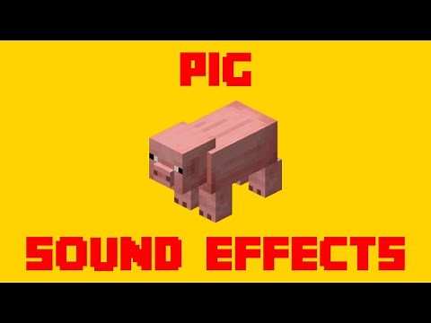 Minecraft Pig Sound Effects! - All Pig SFX For Editing!