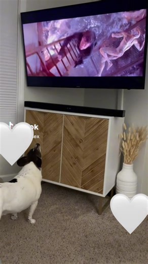 Hilarious Takes on Hunger Games