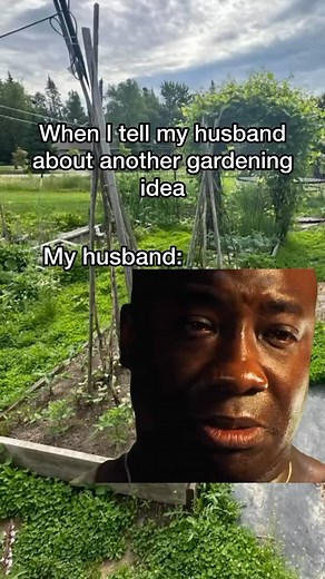 Shop 200 organic, open-pollinated seed varieties grown in the North and regionally adapted for colder climates with shorter growing seasons in my seed shop ➡️ www.thesuperiorgardener.ca #gardening #gardener #gardenlife #seedstarting #seeds #marriedlife #gardenersofinstagram | The Superior Gardener