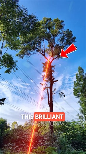 The Ultimate Method for Cutting Trees Discover the most efficient way to cut trees without climbing or struggling! This revolutionary tool lets you reach even the toughest spots with precision, saving time and effort. Perfect for landscapers and DIY enthusiasts looking for speed and safety. Upgrade your tree-cutting game today! #TreeCutting #InnovativeTools #SmartGardening credits : redcoastlaser/TT ,fontool2u/TT,@ SPTLaser/YT ,liuff136/IG ,toautotool/TT, @aravind372/YT | WebEye News