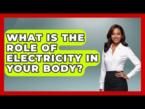 What Is The Role Of Electricity In Your Body? - The Everyday Why