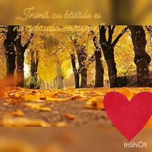3K views · 123 reactions | 29 Septembrie Ziua Mondială a Inimii Să ne păstrăm inima curată să păstrăm mereu în ea lumina speranței și s-o umplem în fiecare clipă cu multă iubire! ,.Inima omului este ca și pământul: poți semăna, poți planta, poți construi ce vrei la suprafață, dar ea va continua să aibă florile și fructele sale." Victor Hugo | Oda Timpului | Facebook