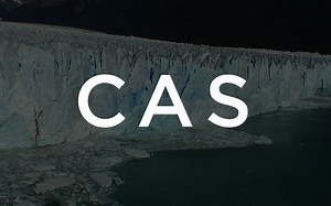 Introduction to Complex Adaptive Systems (CAS)