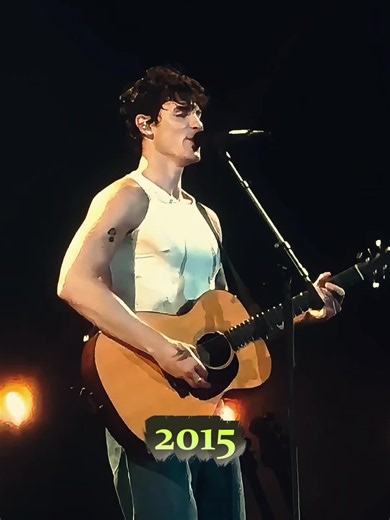 Shawn Mendes - Stitches🩹 #Stitches #ShawnMendes #PopBallad #2010sPop #HeartbreakSongs