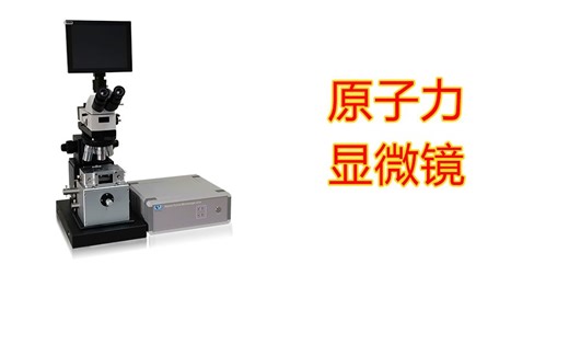 【显微镜】原子力显微镜的原理、结构、应用